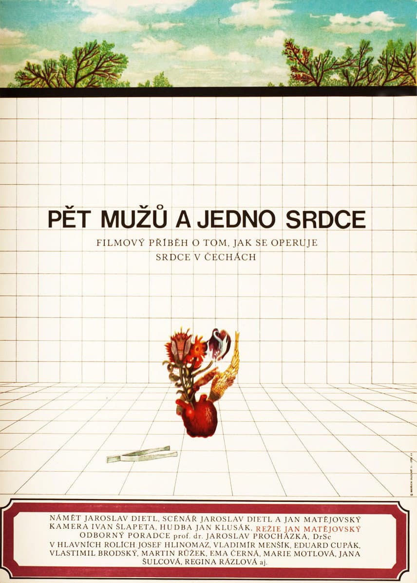 Pet muzu a jedno srdce