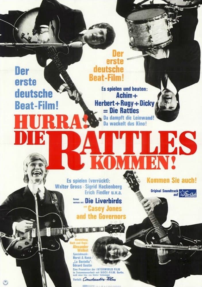 Hurra, die Rattles kommen!