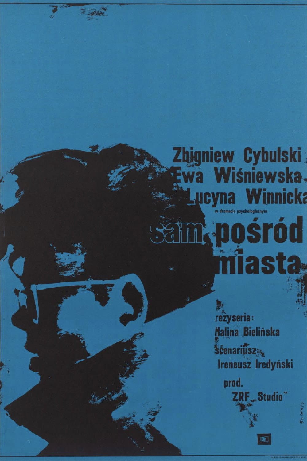 Sam posrÃ³d miasta