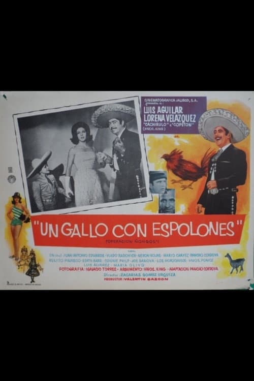 Un gallo con espolones (OperaciÃ³n Ã±ongos)