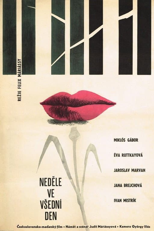 Nedele ve vsednÃ­ den