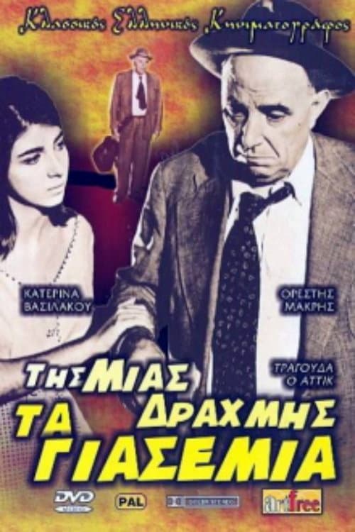 One-drachma Jasmine