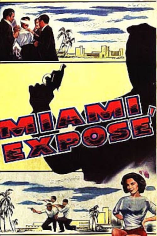 Miami ExposÃ©