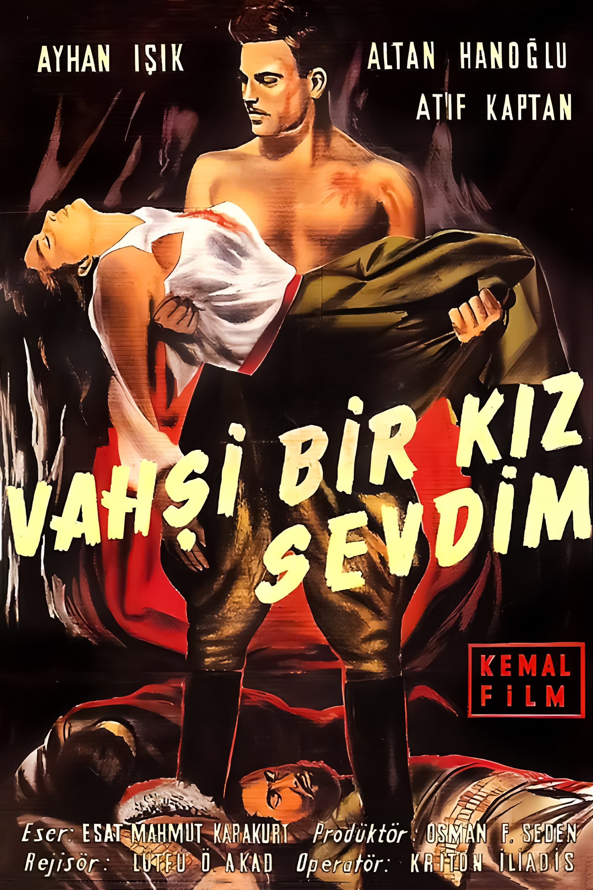 Vahsi bir kiz sevdim