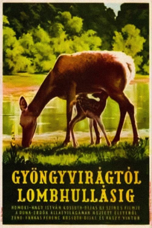 GyÃ¶ngyvirÃ¡gtÃ³l lombhullÃ¡sig