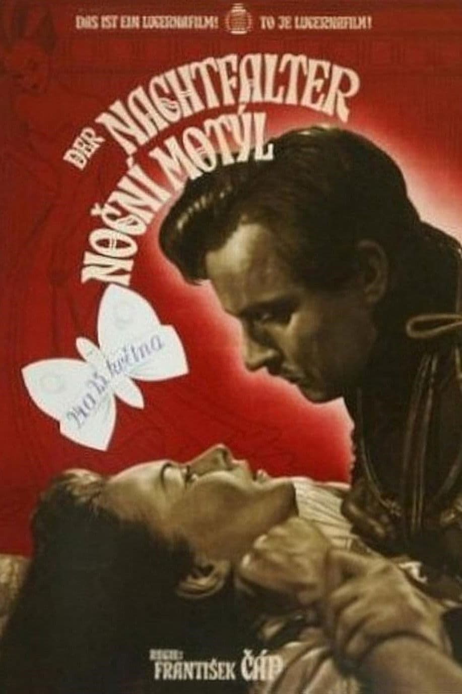 NocnÃ­ motÃ½l