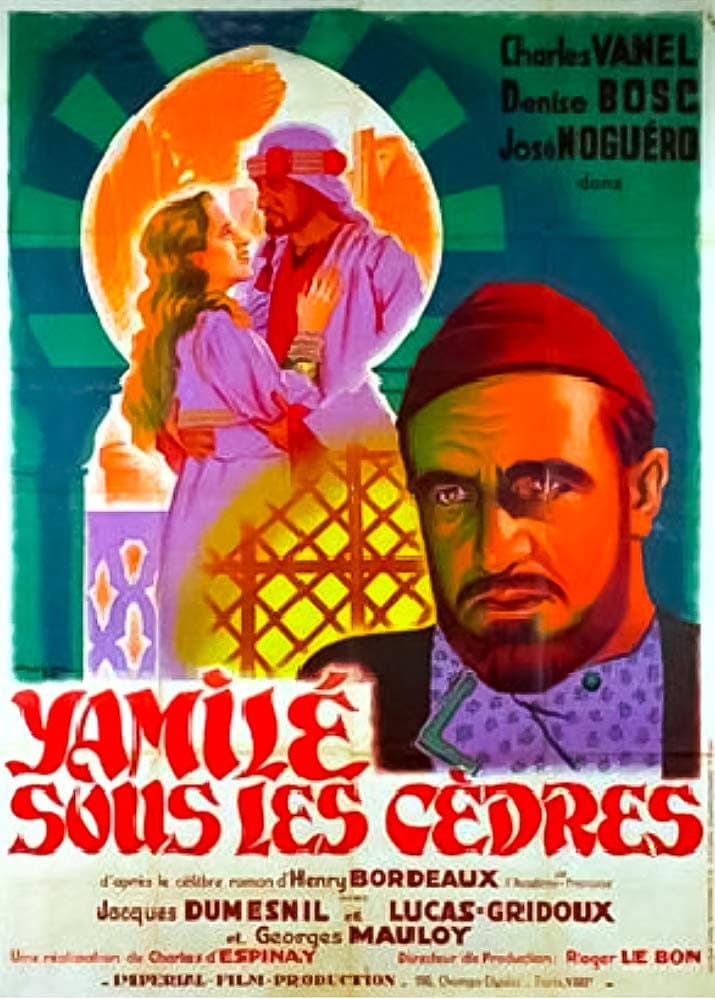 YamilÃ© sous les cÃ¨dres