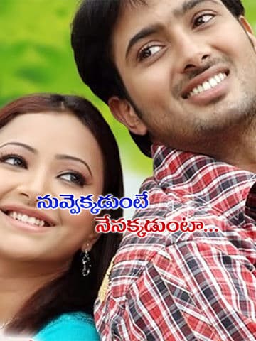Nuvvekkadunte Nenakkadunta