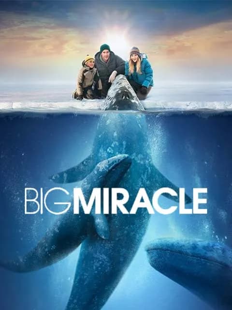 Big Miracle