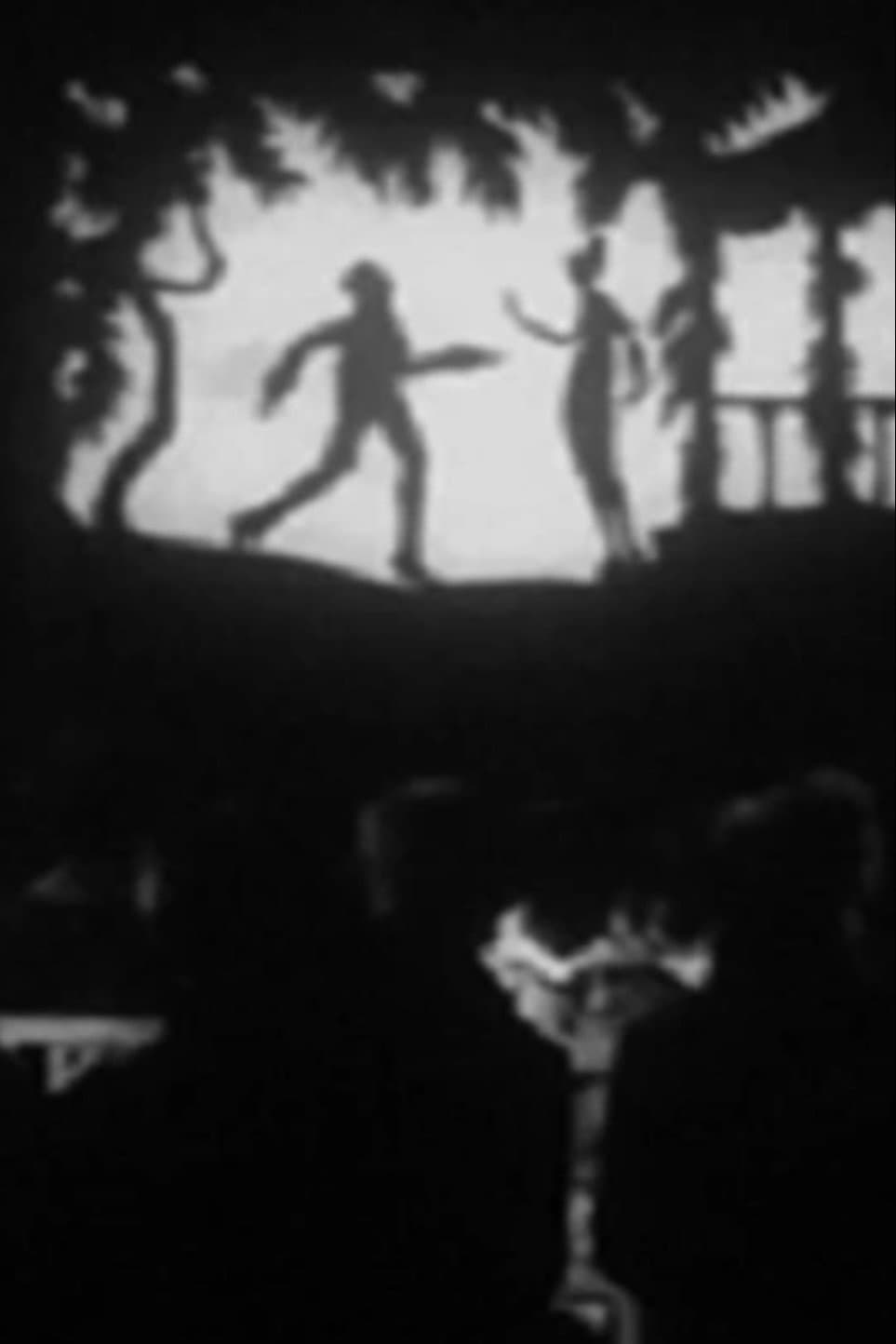 The Lost Shadow