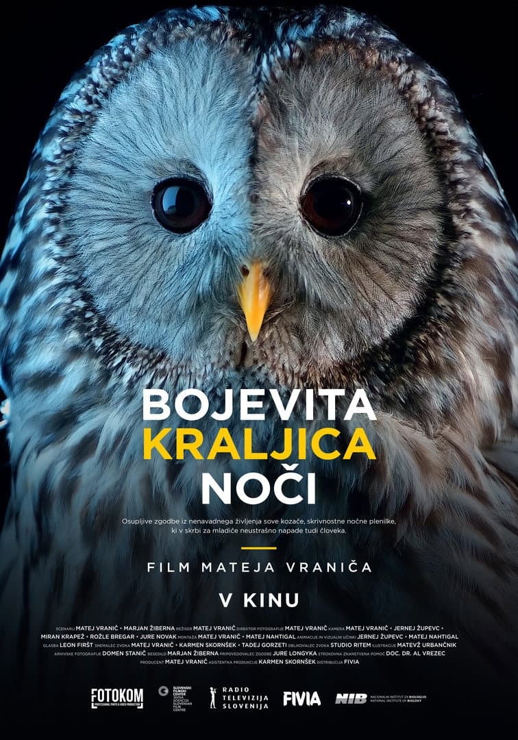 Bojevita kraljica noci