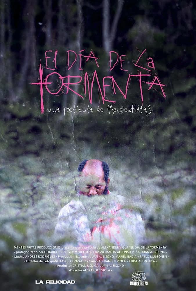 El dÃ­a de la tormenta