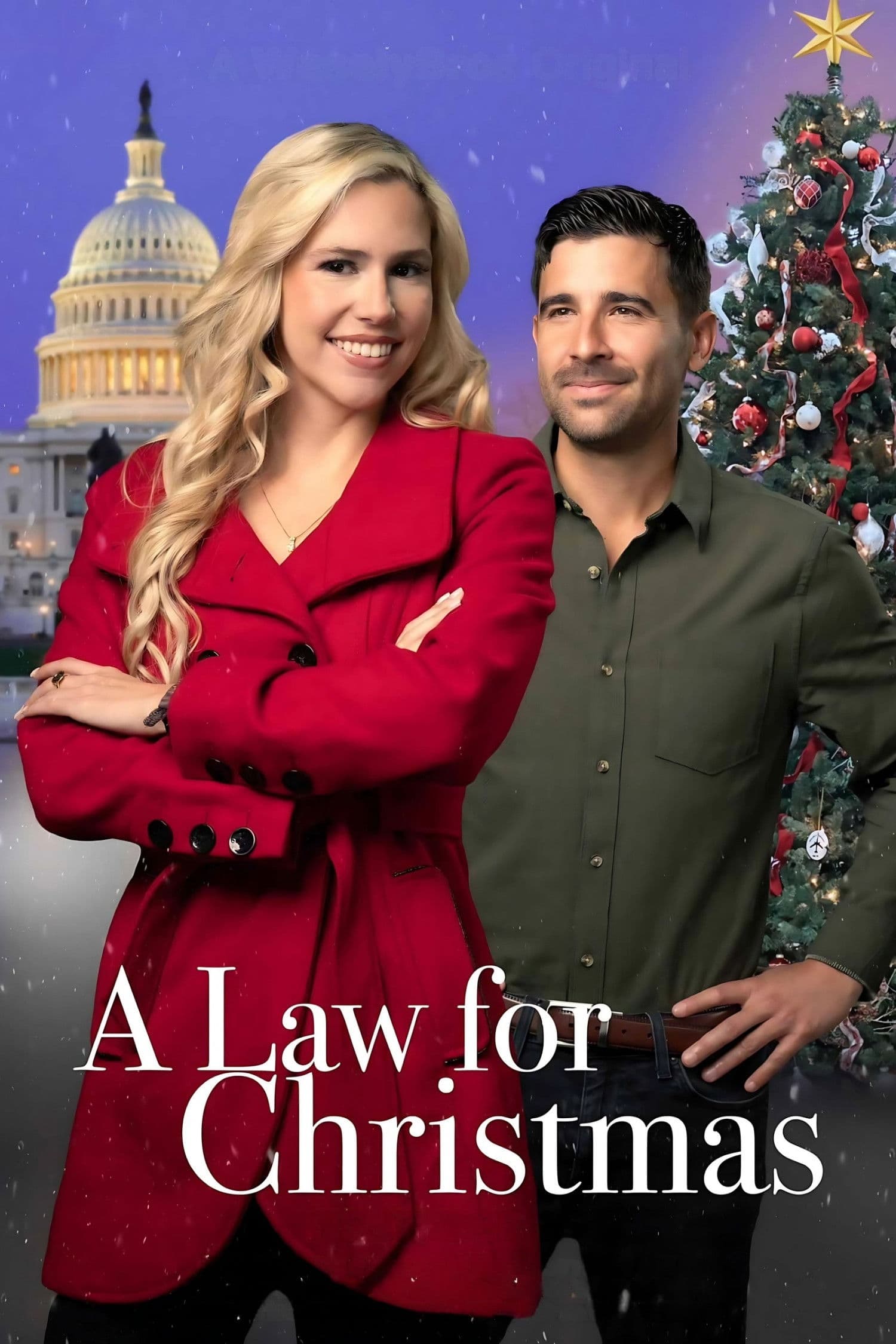 A Law for Christmas