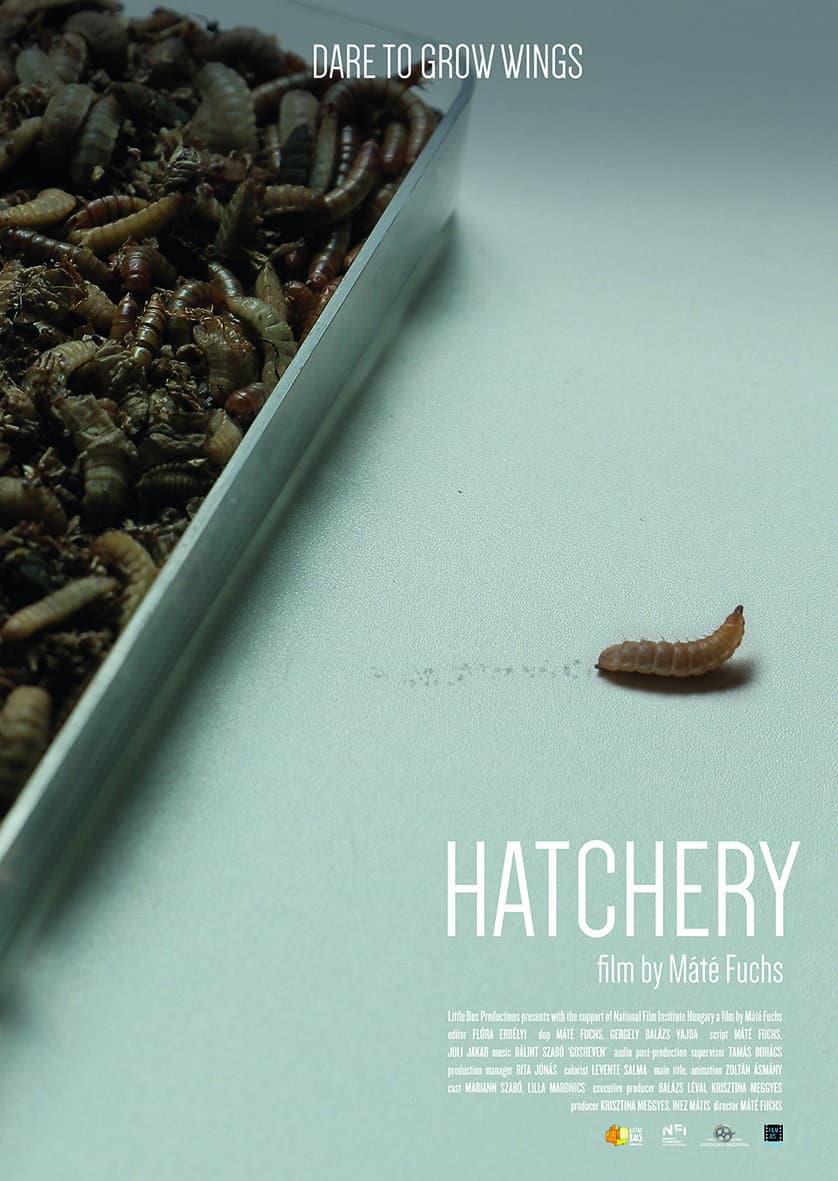 Hatchery