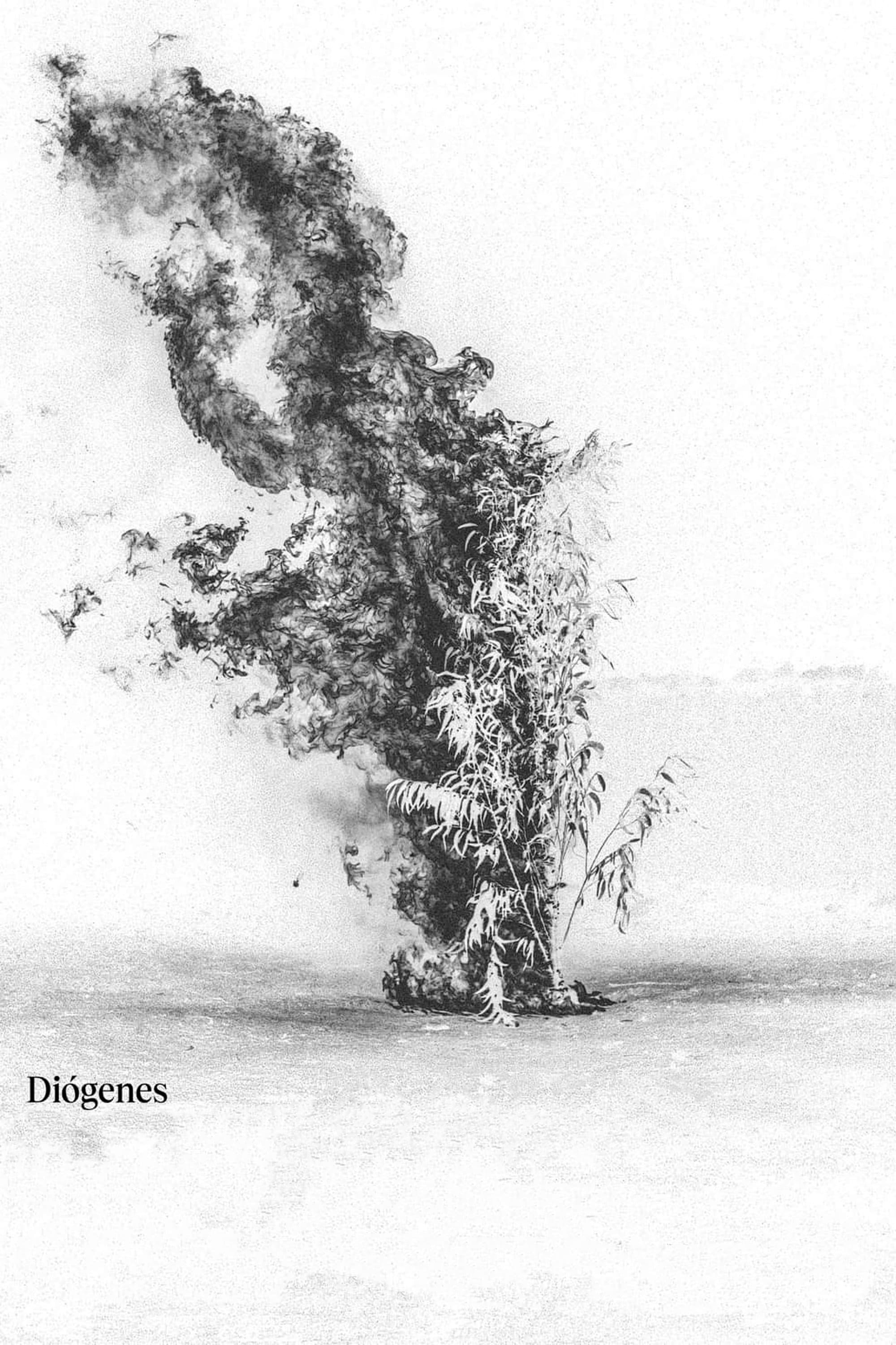 DiÃ³genes