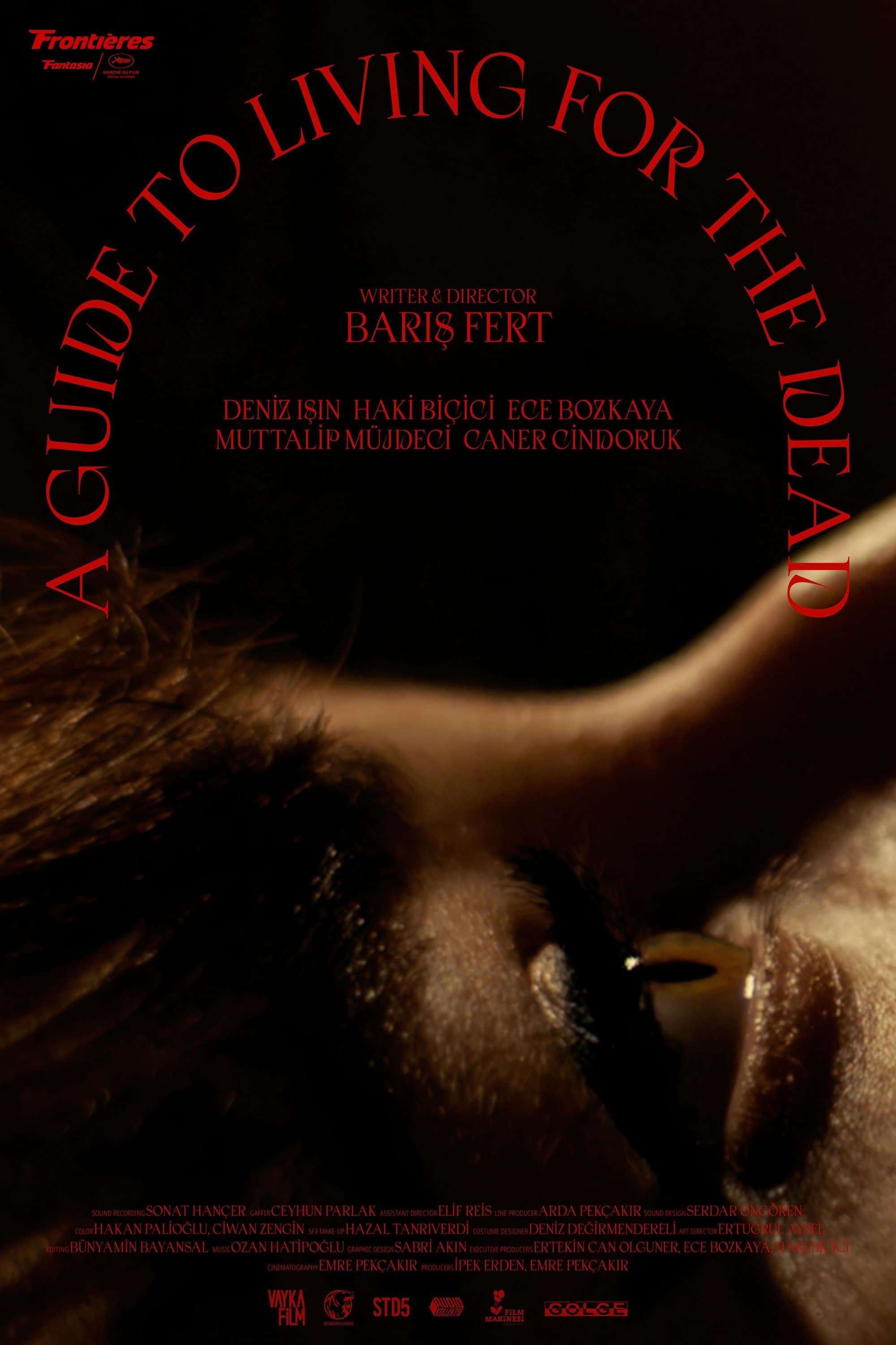 A Guide to Living for the Dead