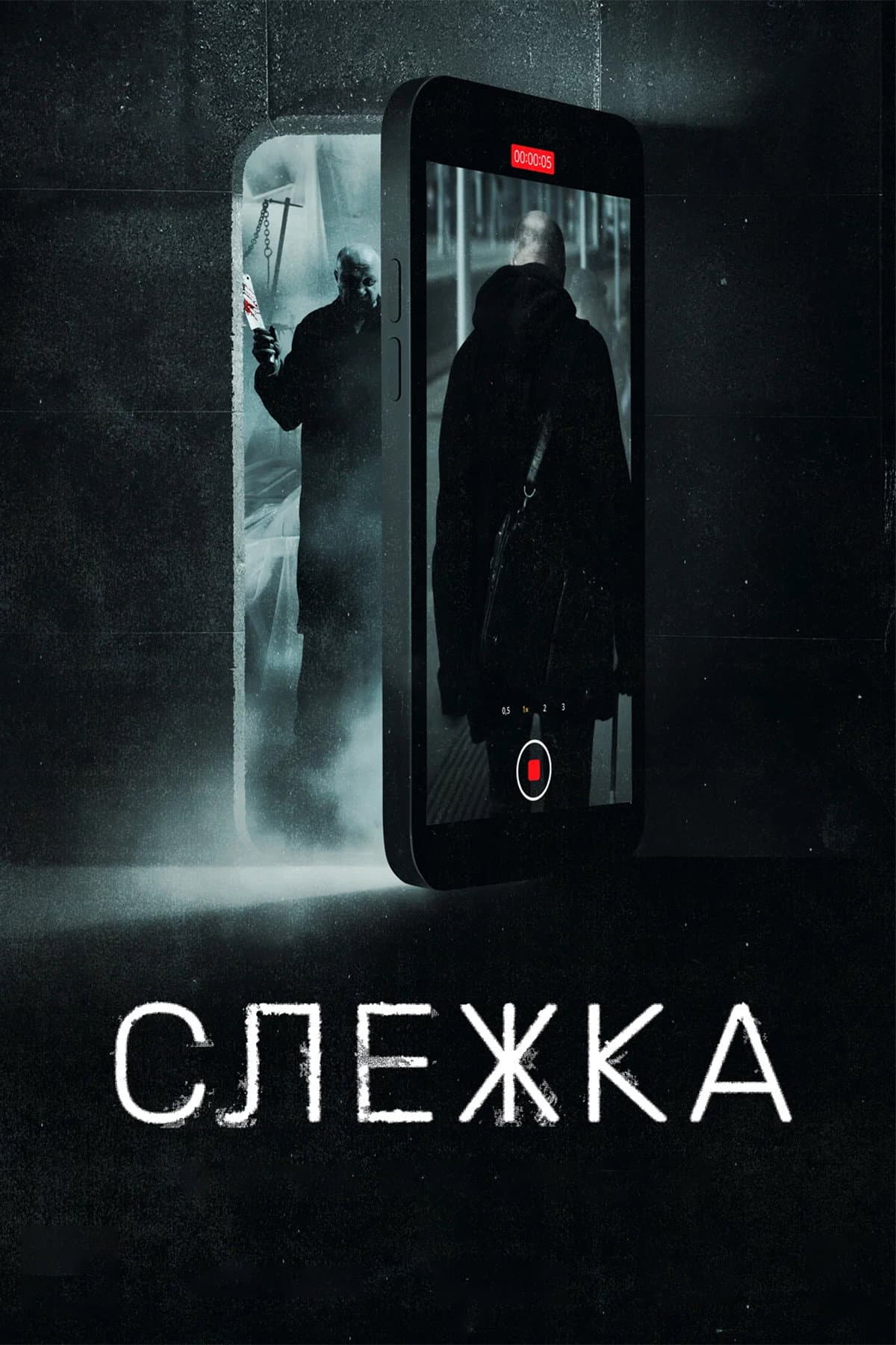 Slezhka