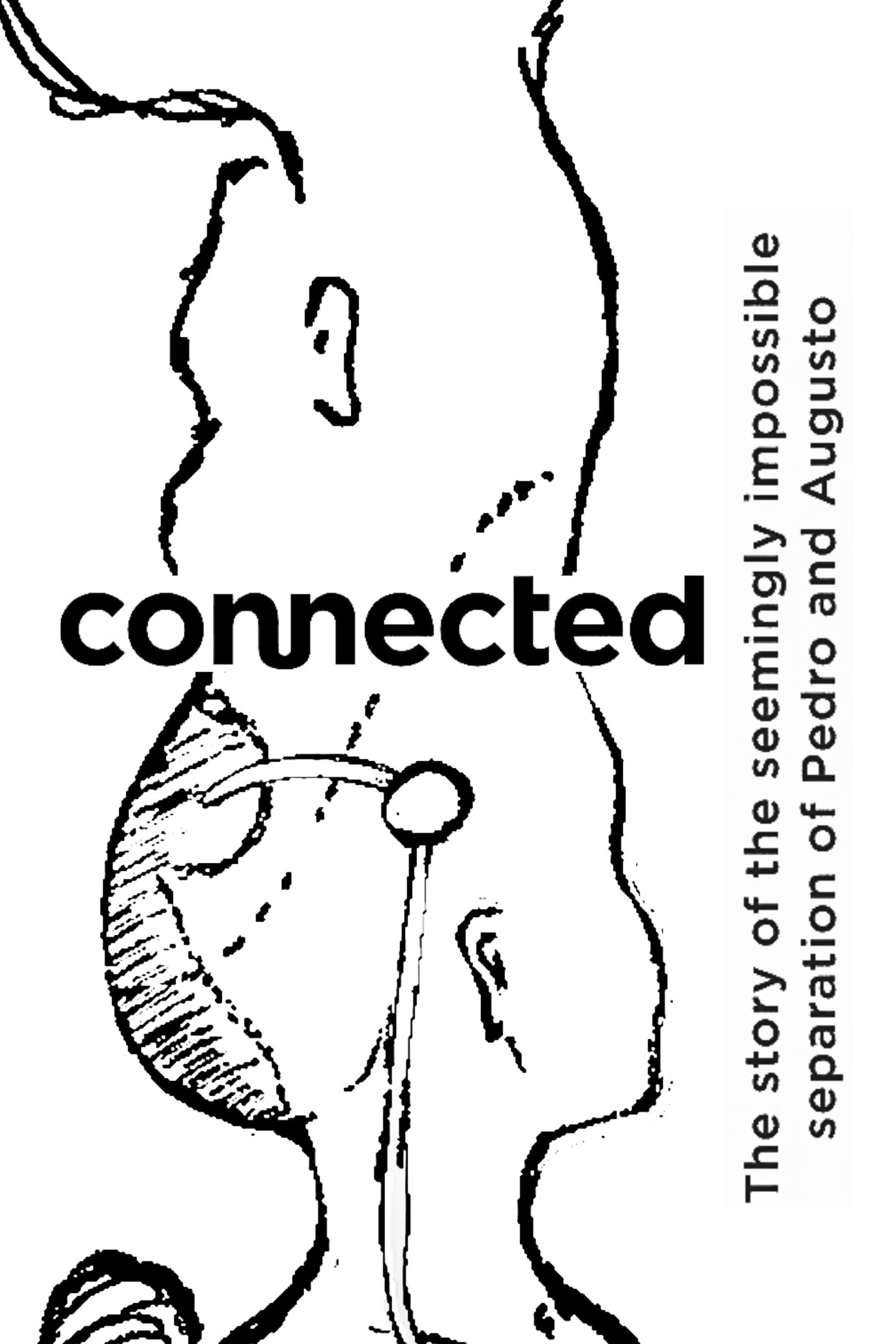Connected: the story of the seemingly impossible separation of Pedro and Augusto